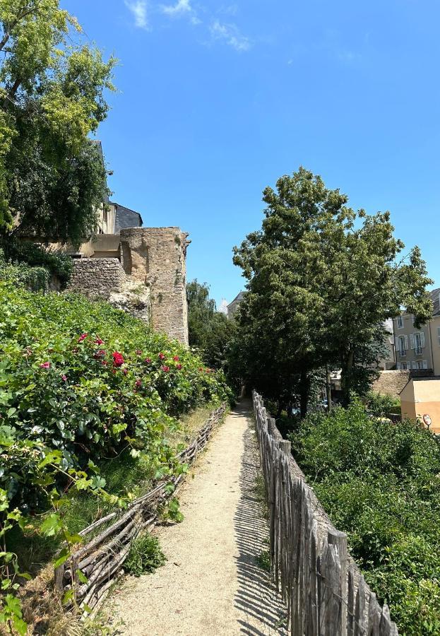 Appartement Vieux Mans 勒芒 外观 照片